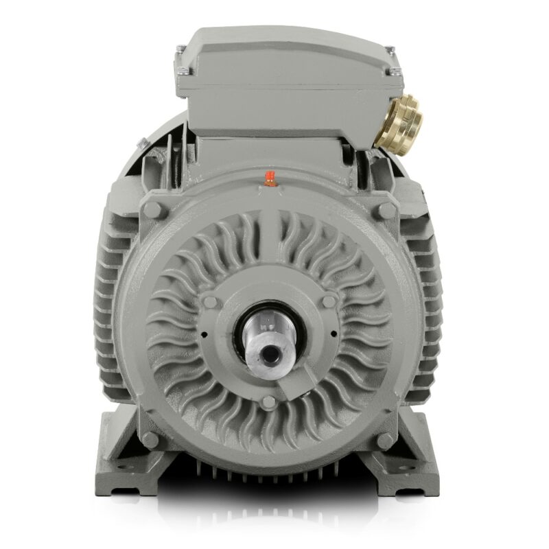 Electric motor 132kW 3LC IE3 400V/690V 3000 rpm In stock