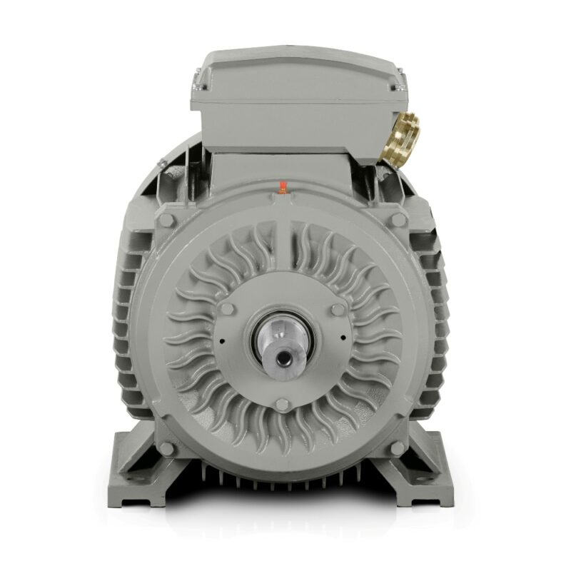 Electric motor 22kW 3LC IE3 400V/690V 1000 rpm In stock