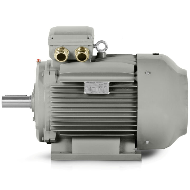 Electric motor 22kW 3LC IE3 400V/690V 1000 rpm In stock