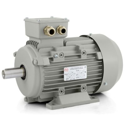 Electric motors 1AL – 2-poles – 3000 rpm