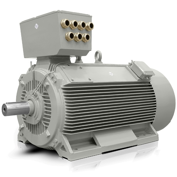 Niederspannungs Electric motors H17RL VYBO Electric